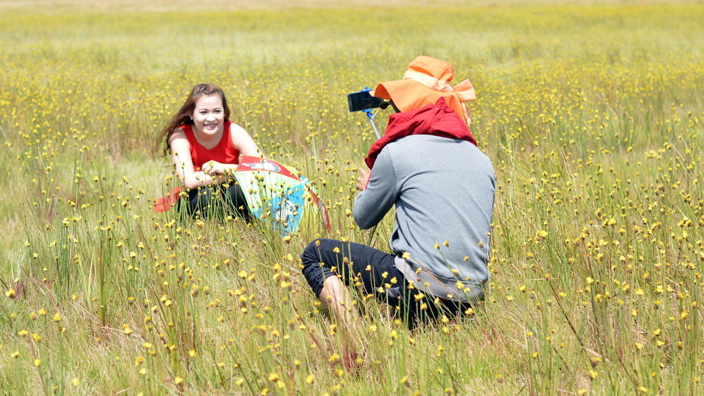 Du khách chụp ảnh với cánh đồng hoa hoàng đầu ấn