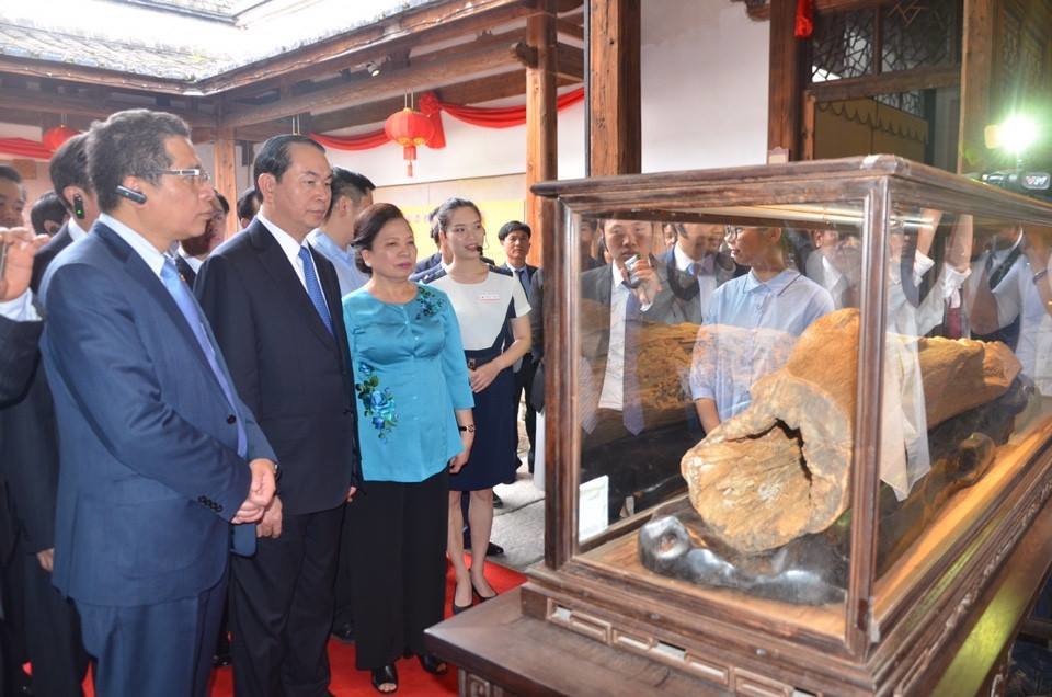Chủ tịch nước Trần Đại Quang và phu nhân xem một đồ vật hóa thạch cổ trong khu phố cổ - Ảnh: Quỳnh Trung
