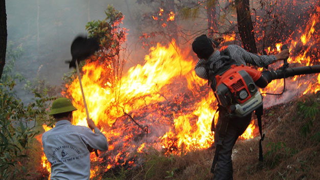 Người dân căng mình chữa cháy rừng - Ảnh: Cảnh Phúc