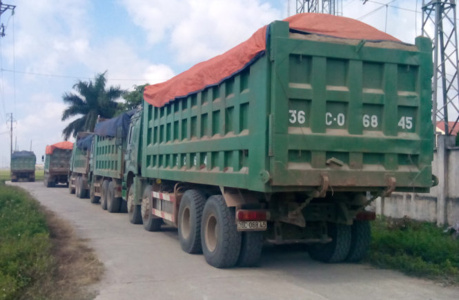 Số xe tải vi phạm tải trọng bị Thanh tra giao thông tỉnh Thanh Hóa bắt giữ sáng 12 - 9 - Ảnh: Hà Đồng.