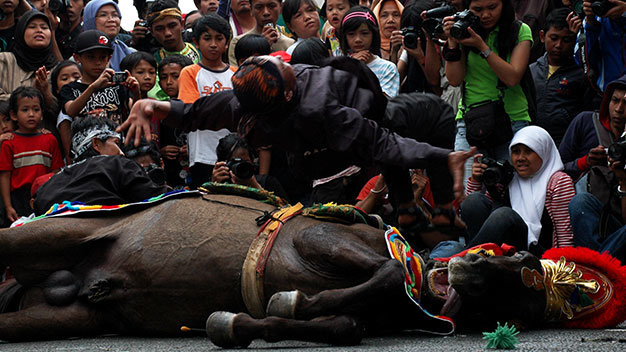 Màn biểu diễn bay bằng lưng qua mình ngựa - Ảnh: Dương Văn Minh Lộc