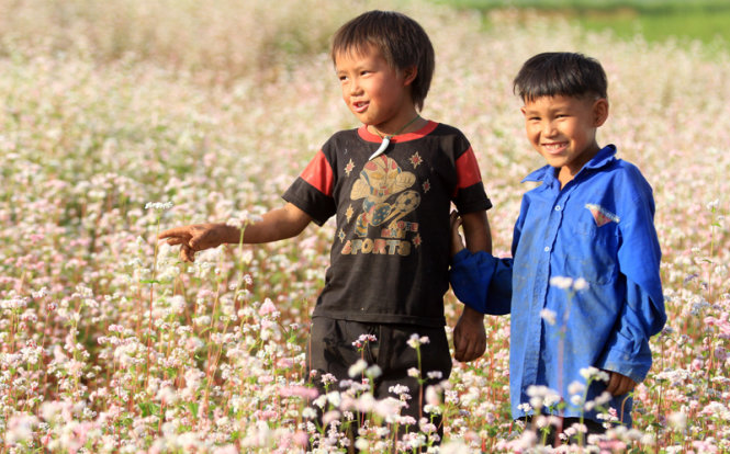 Những đứa trẻ người mông cùng vườn hoa