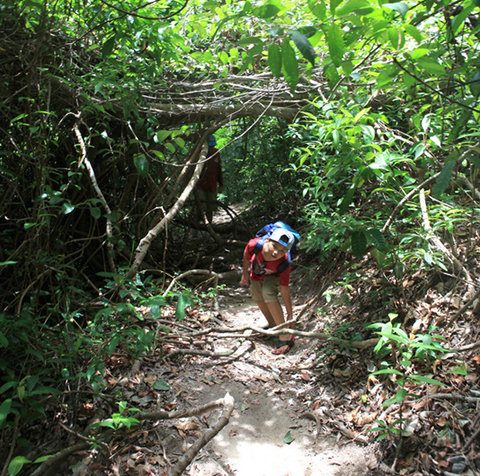 Hiking trong vườn quốc gia Penang trên những lối mòn xuyên rừng ven biển - Ảnh: Tấn Phong