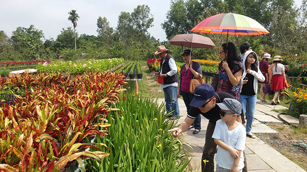 Du khách tham quan vườn hoa kiểng Út Minh (Tân Quy Đông, Sa Đéc, Đồng Tháp) - Ảnh: L.Nam