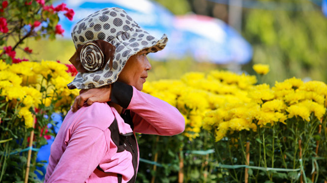 Bà Trần Thị Hằng (quê Sa Đéc, Đồng Tháp) mệt mỏi chờ khách mua hoa tại công viên Lê Văn Tám - Ảnh: Tiến Thành