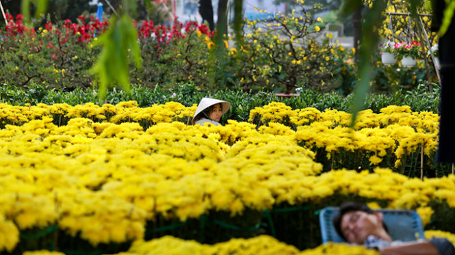 Người bán hoa ở công viên Lê Văn Tám mòn mỏi chờ khách mua - Ảnh: Tiến Thành