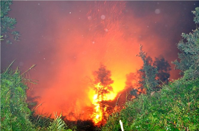 Hỏa hoạn xảy ra tại rừng tái sinh - Ảnh : Đại Việt