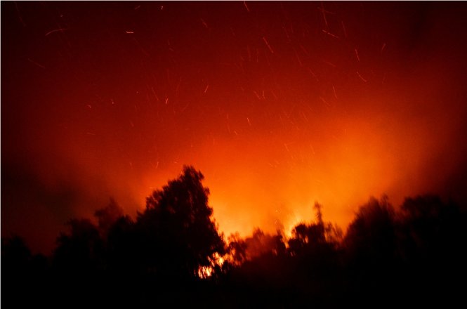 Vụ cháy dữ dội thiêu rụi 7 hecta tràm, lau sậy trong đêm - Ảnh : Đại Việt