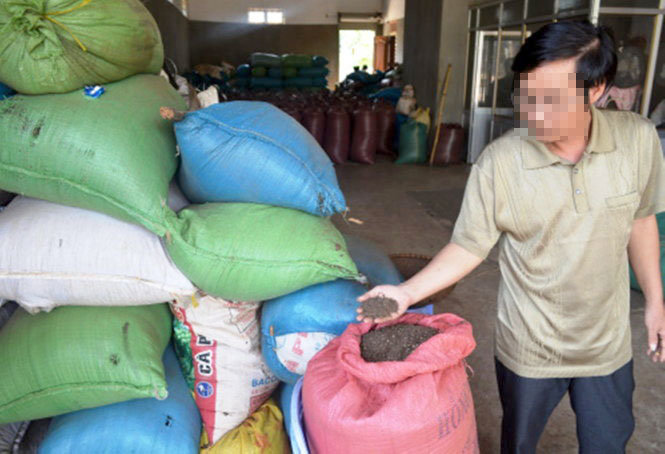Một đại lý tại huyện Cư Kuin (Đắk Lắk) đã thu mua hàng chục tấn tiêu lép, tiêu bụi giờ thương lái không quay lại mua đành ôm nợ - Ảnh: Thảo Nguyễn