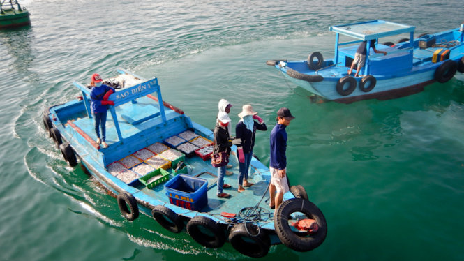 Buổi sớm, du khách sẽ bắt gặp những ghe chở mực còn tươi cập cảng Phú Quý để bày bán cho các thương lái - Ảnh: Tiến Thành