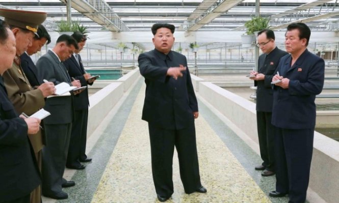 Nhà lãnh đạo Triều Tiên Kim Jong-un đi kiểm tra tại một cơ sở nuôi rùa ở Bình Nhưỡng - Ảnh: AFP