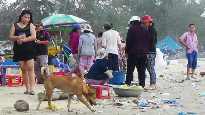Buôn bán hải sản trên bãi biển xã Tân Tiến