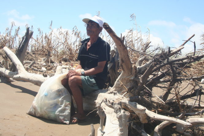 Một người dân ở khu vực biển Ba Động (huyện Duyên Hải, Trà Vinh) bên hàng thông chắn sóng đã bị biển đánh trơ gốc- Ảnh: Kiên Thành