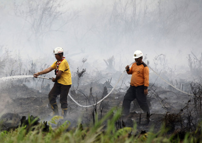 Lực lượng cứu hỏa đang dập tắt các đám cháy rừng ở Indonesia - Ảnh: AFP