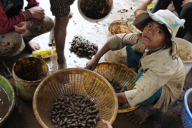 Trẻ em nghèo tại vùng bãi bồi xã Lạc Hòa (Vĩnh Châu) hằng ngày phải ra biển mò cua bắt ốc kiếm tiền mua gạo thay vì được cắp sách đến trường - Ảnh: Tiến Trình