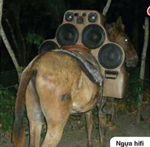 Ivzh1vtc.jpg