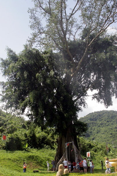eu202K6a.jpg