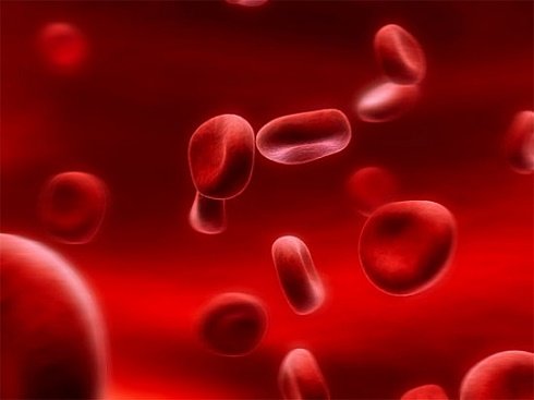 xeBlOpH6.jpg