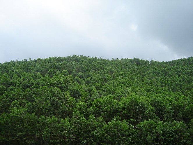 hinh-6-1446879655.jpg