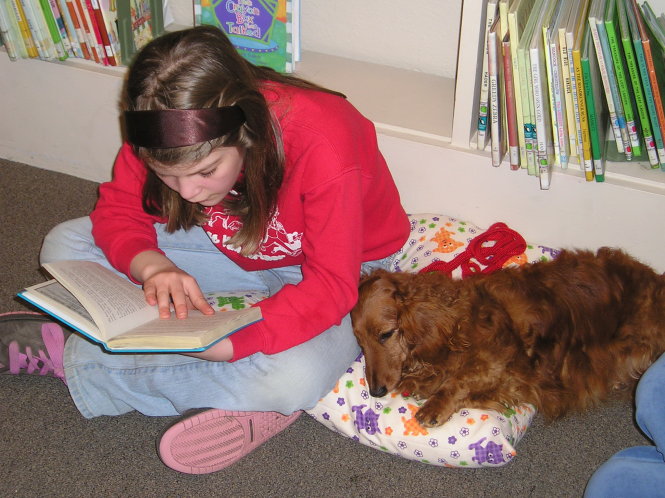 Học sinh đọc sách bên cạnh bạn chó 
- Ảnh: TDI-dog