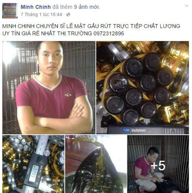 Chinh khai nhận đăng tải hình ảnh rao bán cao hổ, mật gấu…trên facebook để khoe với bạn bè - Ảnh: Doãn Hòa chụp lại