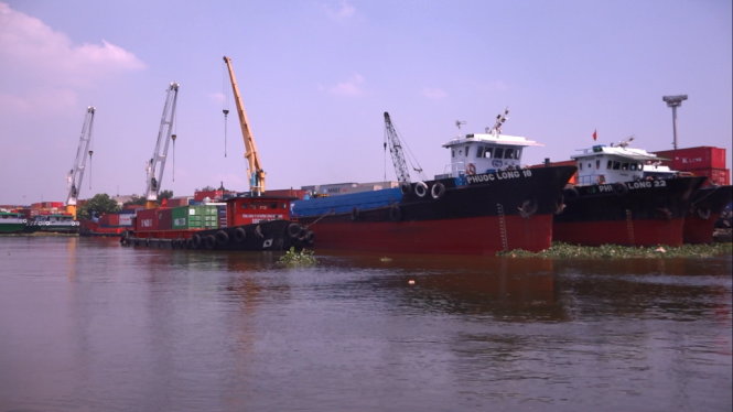 Các tàu, thuyền neo đậu tại cảng Phước Long - Ảnh: Chế Thân