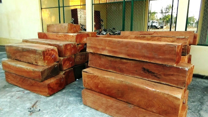 Số gỗ tang vật đang bị tạm giữ tại công an huyện Hàm Tân - Ảnh: NGUYỄN NAM