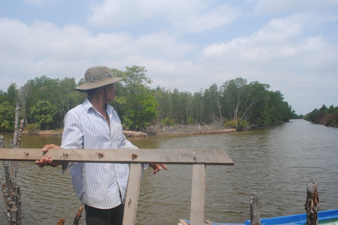 Khu đất rừng sản xuất tự túc của trại giam thuộc Công an tỉnh Cà Mau hiện nay “khoán” lại cho dân nuôi tôm - Ảnh: T.Thái