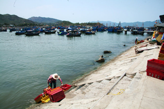 Nước từ cảng cá Vĩnh Lương chảy xuống biển tuy có mùi tanh của hải sản nhưng không đến mức gây hôi thối, người dân vẫn sử dụng để rửa các dụng cụ bình thường - Ảnh: Phan Sông Ngân