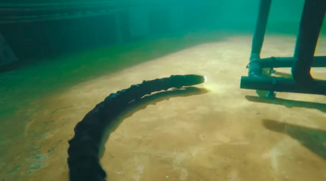 Eelume có hình con rắn có thể di chuyển linh hoạt qua các địa hình và cấu tạo phức tạp của máy móc dưới đáy biển