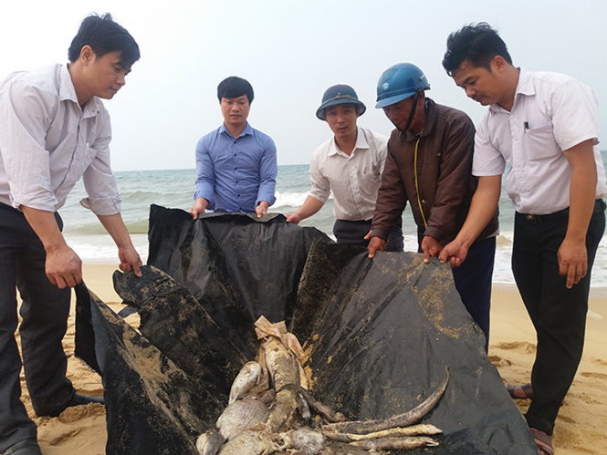 Chi cục Bảo vệ môi trường Quảng Bình cung cấp: Cán bộ Sở TN&MT Quảng Bình hướng dẫn bà con ven biển xử lý cá chết