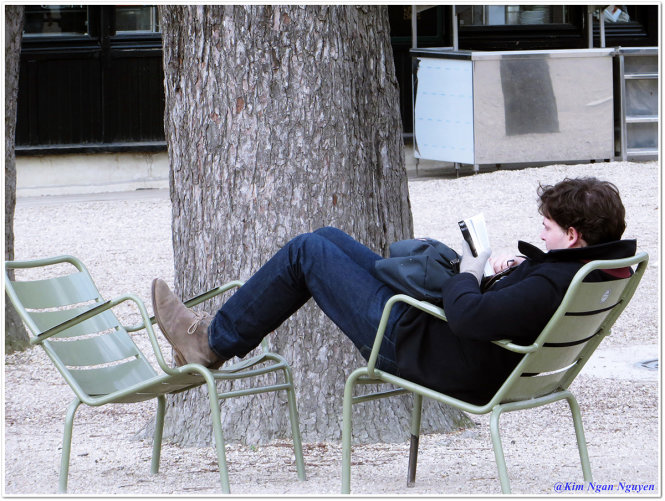 Chàng trai đọc sách trong vườn Luxembourg giữa một buổi chiều êm ả