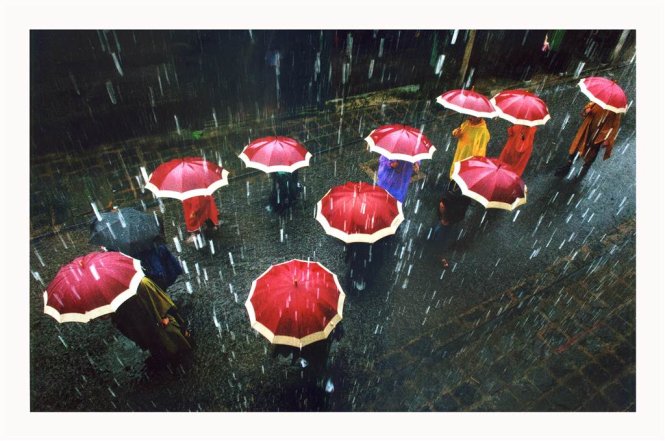 Thăm phố ngày mưa - tác phẩm của Lưu Bích Thuận