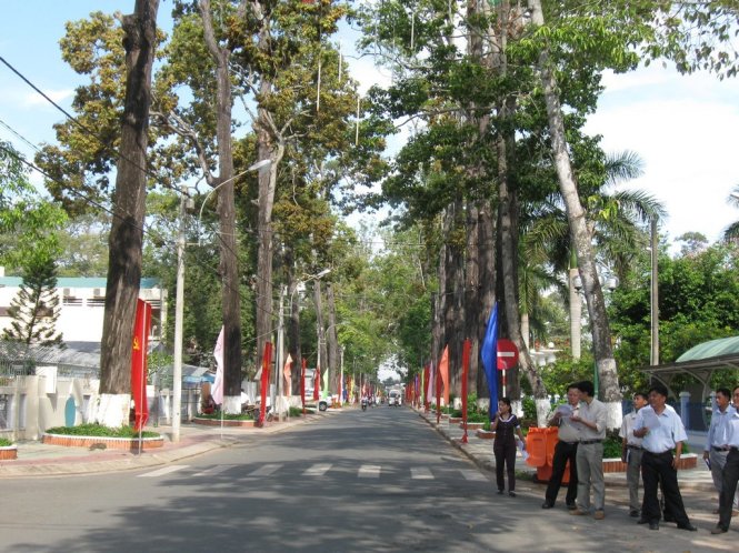 Đoàn chuyên gia khảo sát hàng cây cổ thụ trên đường Lê Thánh Tôn, TP Trà Vinh (tỉnh Trà Vinh) - Ảnh: Đức Thành