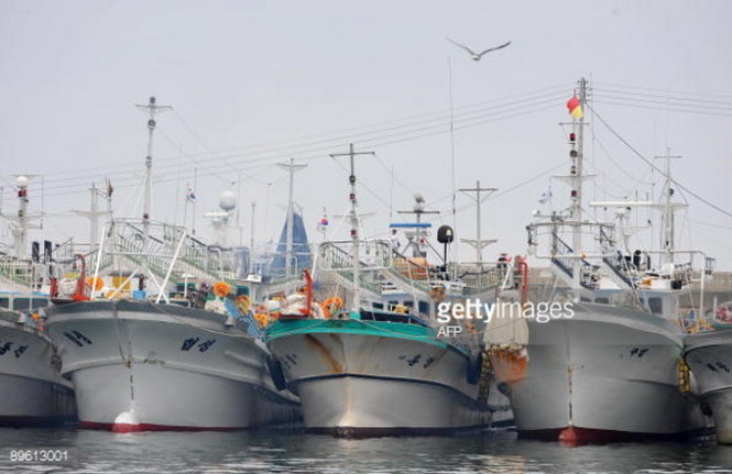 Một đội tàu đánh cá của Hàn Quốc - Ảnh: AFP