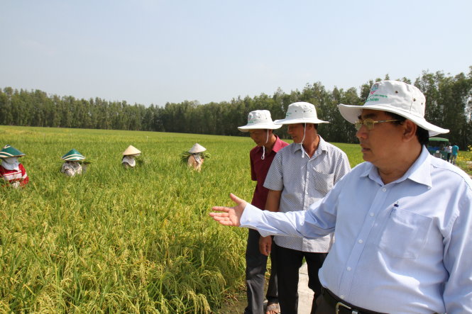 PGS.TS Dương Văn Chín trao đổi với nông dân An Giang trên cánh đồng sản xuất lúa Lộc Trời 1 - Ảnh: V.TR.