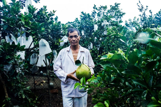 “Cu Theo” hiện đang là một nông dân thực thụ - Ảnh: THÁI LỘC