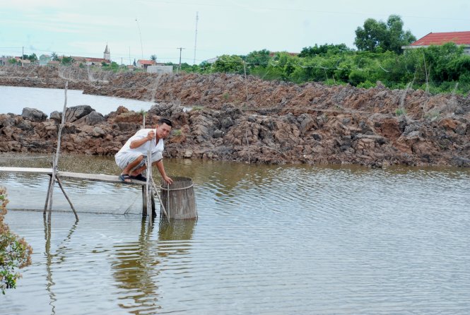 Người nuôi trồng thủy hải sản ở thôn Cồn Nâm, xã Quảng Minh mấy tháng qua điêu đứng vì không bán được tôm nhưng lại bị bớt xén tiền hỗ trợ - Ảnh: Quốc Nam