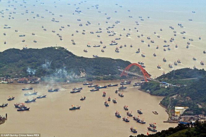 Đoàn tàu cá Trung Quốc trong một lần ra khơi từ Chiết Giang - Ảnh: Daily Mail