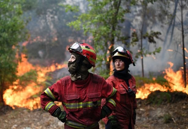 Trên đảo Madeira, 8 nhân viên cứu hỏa bị ngạt khói cần phải chăm sóc y tế - Ảnh: AFP