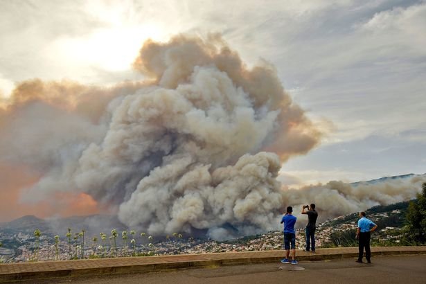 Khói cháy rừng cuồn cuộn bốc lên trời - Ảnh: AFP