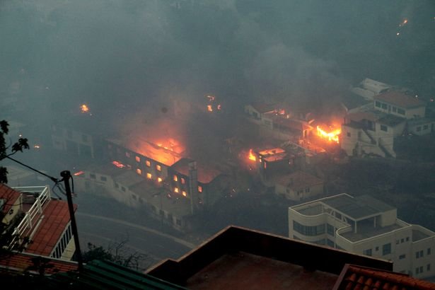 Bị lửa cháy rừng đe dọa, hàng ngàn người đã phải rời bỏ nhà cửa đi lánh nạn - Ảnh: REUTERS