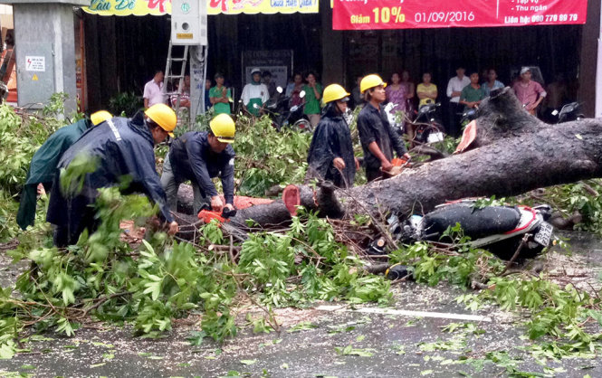 Nhân viên công ty công viên cây xanh đang dọn dẹp hiện trường vụ cây đổ - Ảnh: LÊ PHAN
