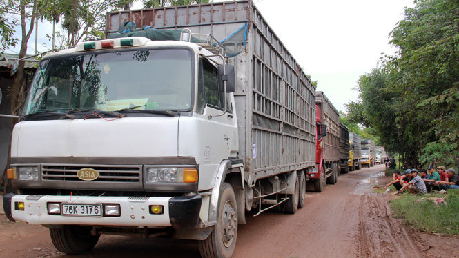 Hàng chục xe tải chở gỗ dăm bị chặn lại gây ách tắc giao thông một đoạn dài