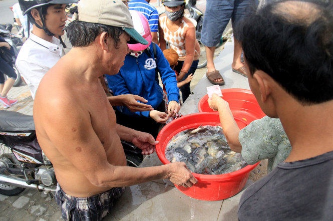 Các loại cá nước ngọt bắt được bày bán ngay trên bờ biển với giá từ 30-50 ngàn/kg- Ảnh: TRƯỜNG TRUNG.