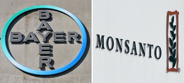 Đây là lần tăng giá thâu tóm thứ tư của Bayer với Monsanto - Ảnh: AFP