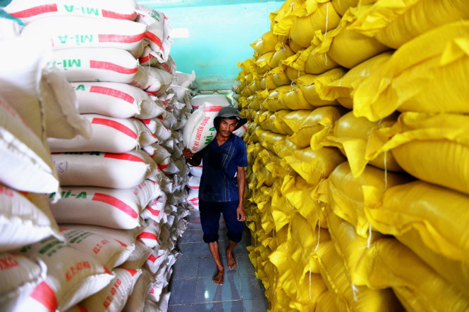 Dù mỗi năm gạo xuất khẩu đem về hơn 3 tỉ USD cho VN nhưng chủ yếu là gạo không có thương hiệu. Trong ảnh: công nhân vận chuyển gạo xuống ghe đưa đi xuất khẩu tại một công ty ở Tiền Giang - Ảnh: HỮU KHOA