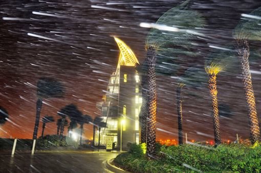 Bão gây mưa to gió lớn ở Florida - Ảnh: MIRROR