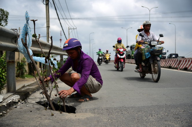 Anh Nguyễn Văn Linh cắm cành cây để cảnh báo hố tử thần cho người đi đường - Ảnh: HỮU THUẬN