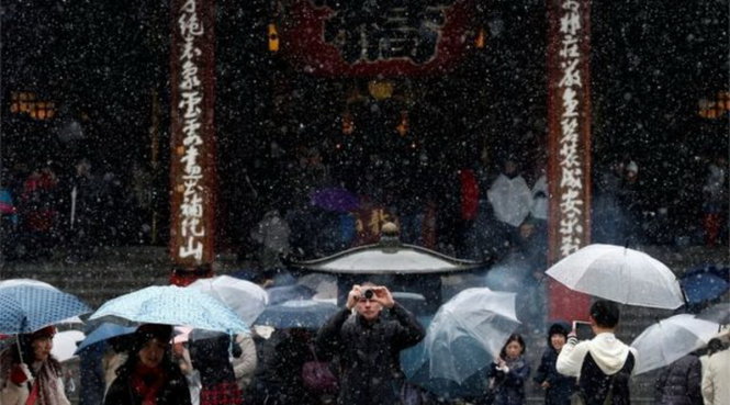 Người dân chụp hình tuyết rơi ở Tokyo sáng 24-11 - Ảnh: REUTERS